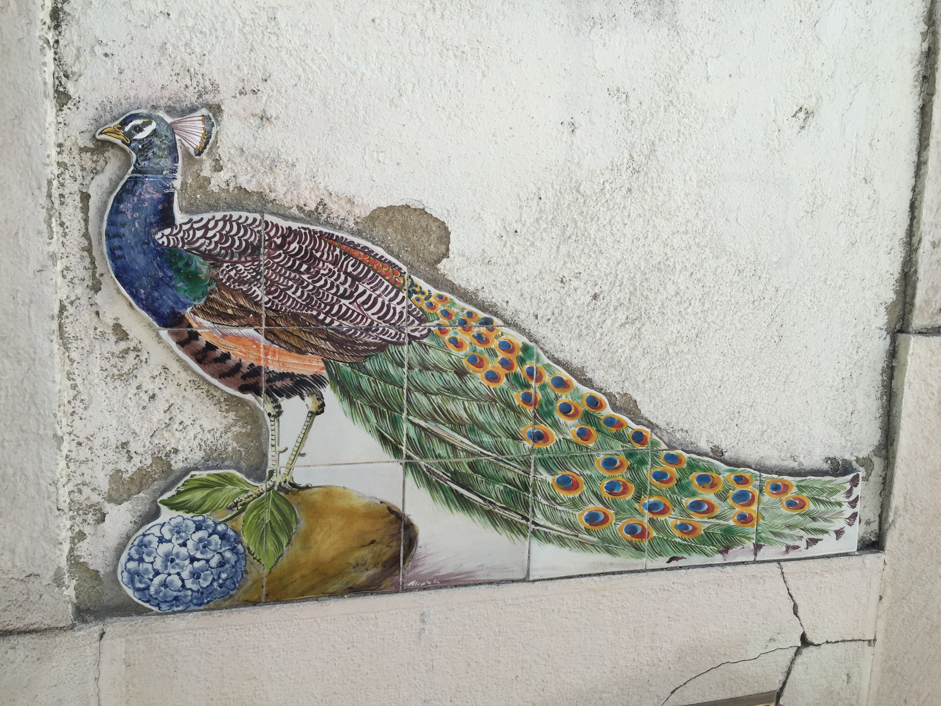 tile-peacock