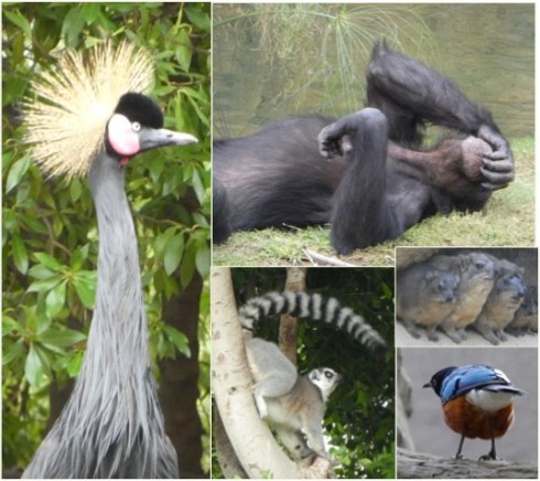 © Louise Creely 2016