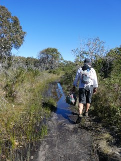 Jerusalem Creek walking trail