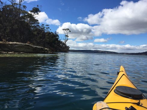 Kayaking on the Derwent, Tasmania